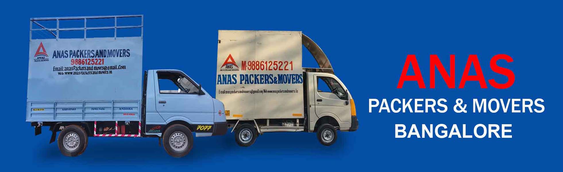 Anas